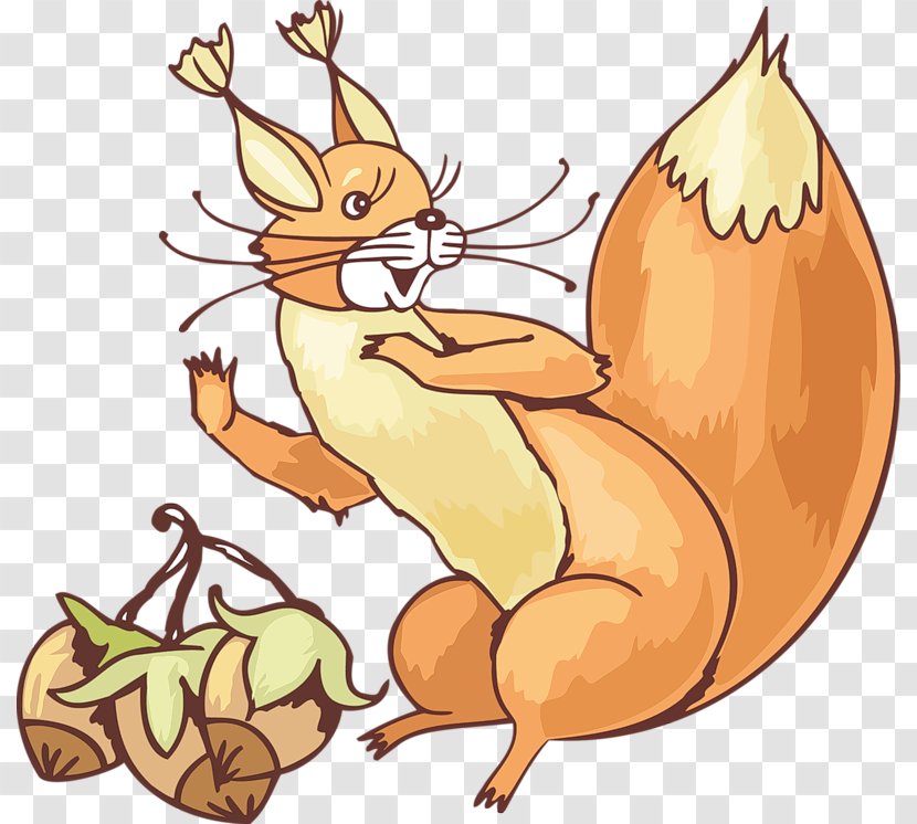 Drawing Photography Clip Art - Digital Image - Squirrel Transparent PNG