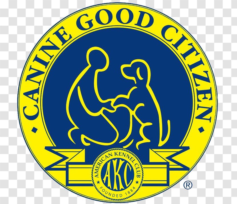 Golden Retriever Puppy Canine Good Citizen American Kennel Club Obedience Training - Area Transparent PNG
