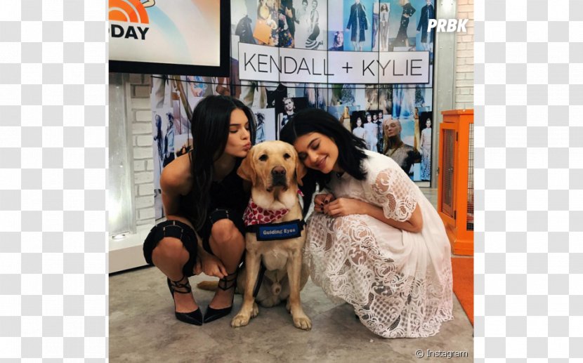 Kendall And Kylie Dog Breed 3 Novembre 1995 Fashion - Video Transparent PNG