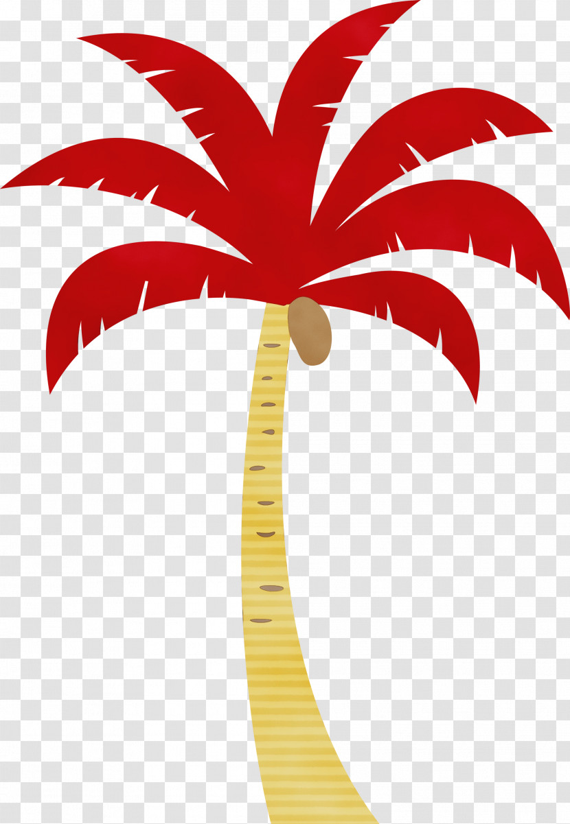 Palm Trees Transparent PNG