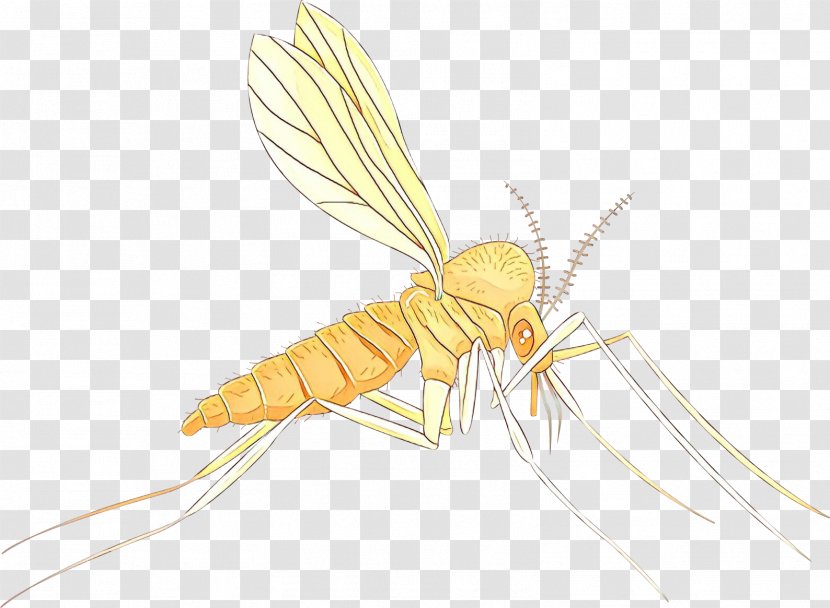Mosquito Insect - Termite Dragonflies And Damseflies Transparent PNG