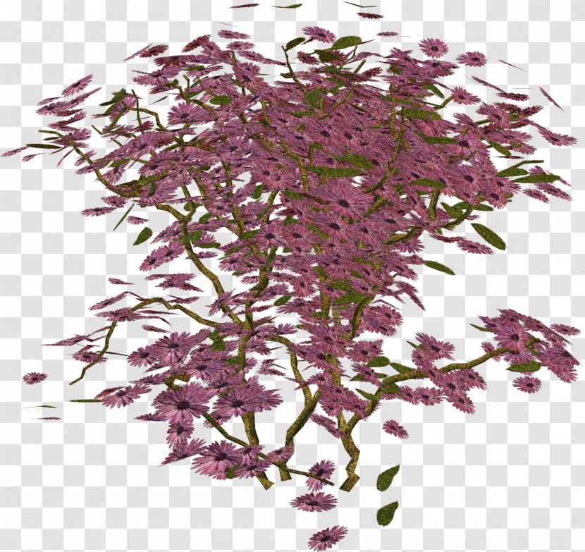 Twig Shrub Herb - Branch Transparent PNG