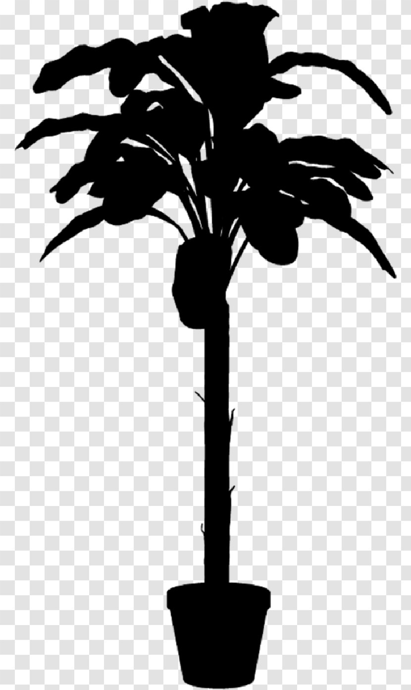 Palm Trees Plant Stem Flower Leaf Silhouette - Blackandwhite - Flowering Transparent PNG