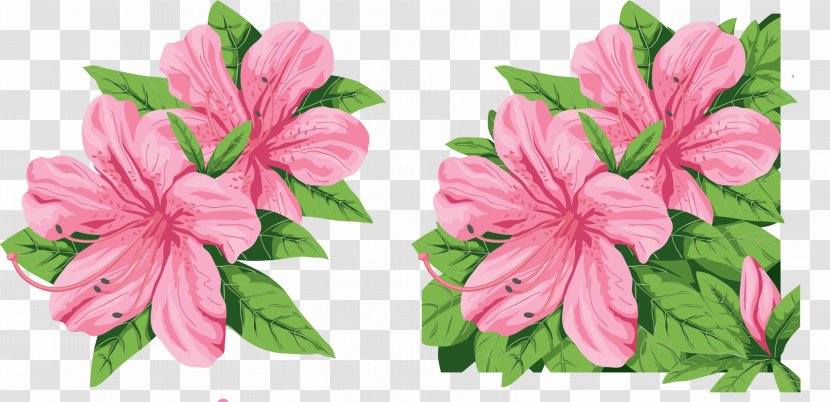 Hibiscus Flower Mallows Clip Art - Internet Forum - Flowers Transparent PNG