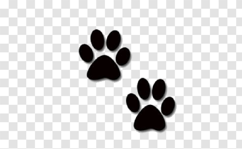 Cat Paw Dog Giant Panda Clip Art Transparent PNG