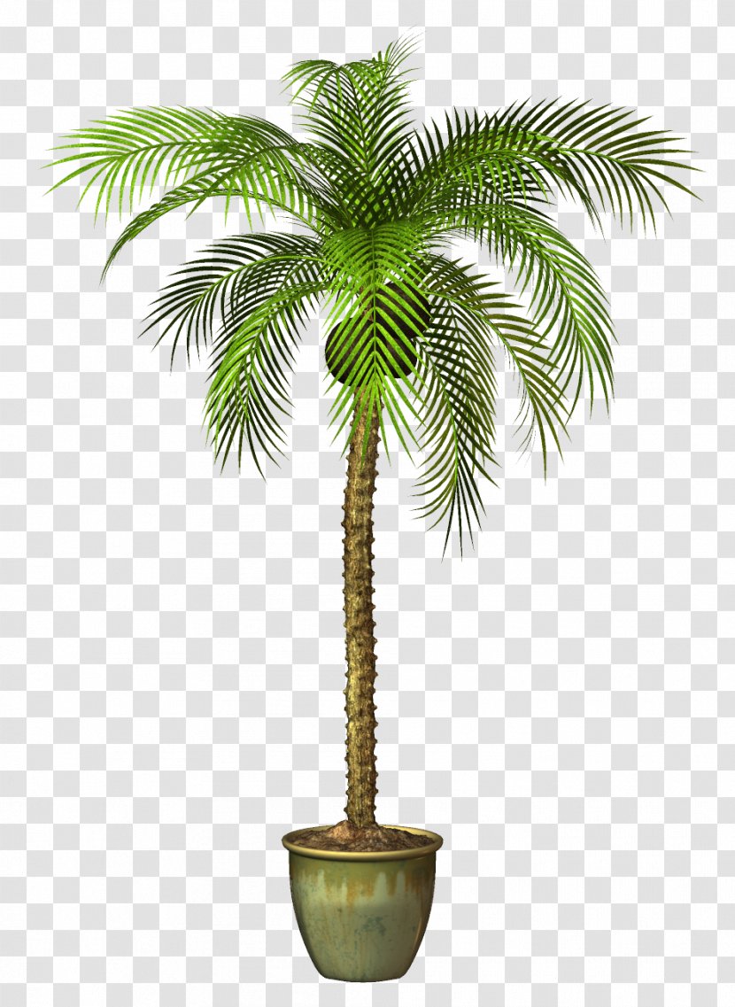 Flowerpot Tree Plant - Crock Transparent PNG