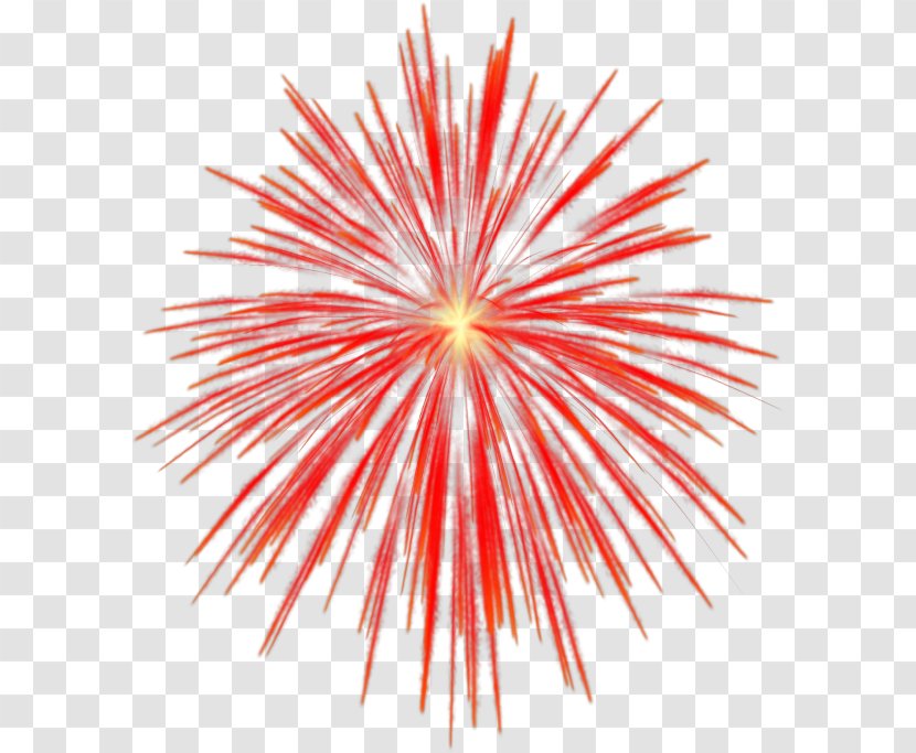 Fireworks Clip Art - Symmetry Transparent PNG