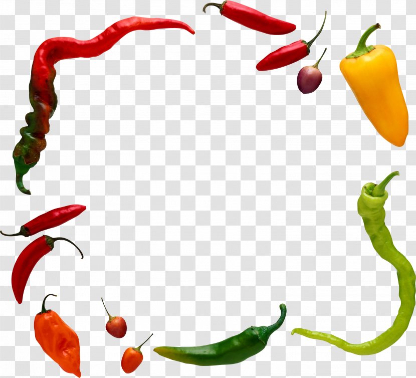 Chili Pepper Black Vegetable Facing Heaven - Peperoncini - Cooking Pan Transparent PNG