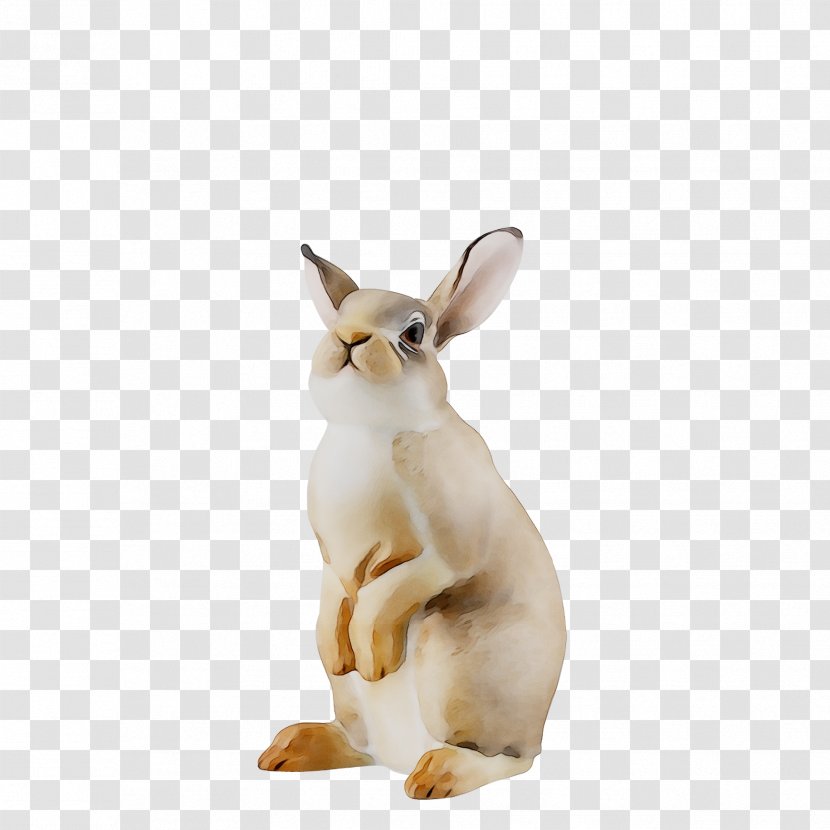 Domestic Rabbit Hare Figurine Snout Transparent PNG