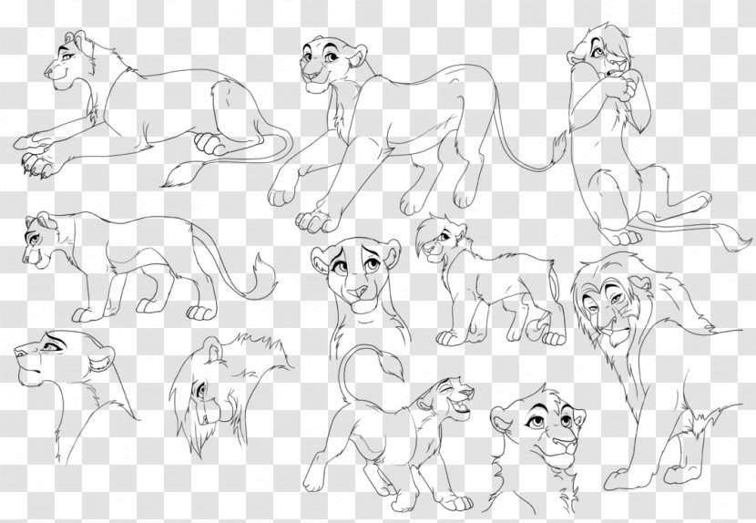 Line Art Lion Zira Drawing - Black And White Transparent PNG