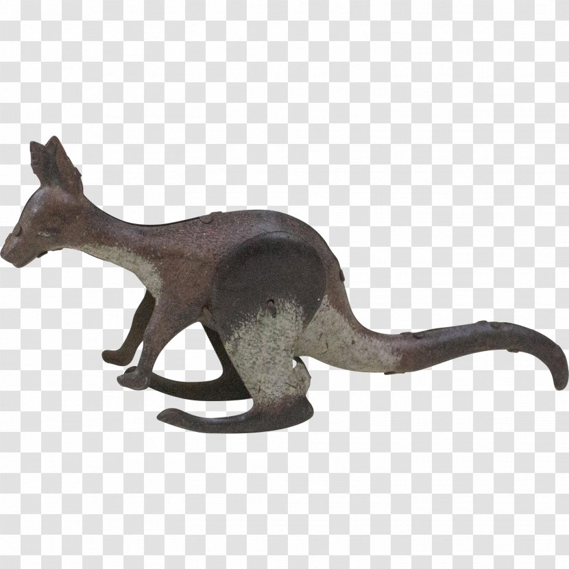Macropodidae Cat Kangaroo Marsupial Mammal - Tail Transparent PNG