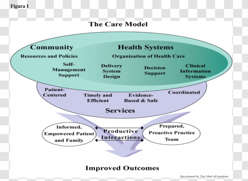 Chronic Care Management Condition Health Medicine - Nursing - Biomedical Panels Transparent PNG