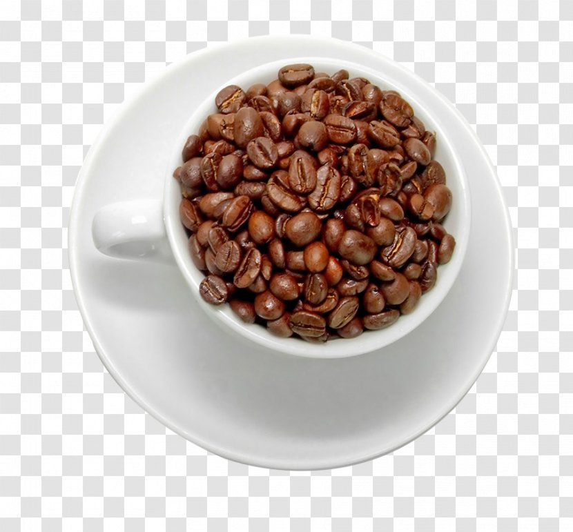 Instant Coffee Tea Cafe Chocolate Milk - Superfood - Beans Transparent PNG