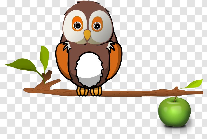 Owl Bird Branch Clip Art Transparent PNG