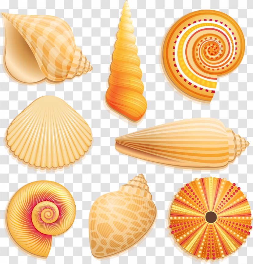 Seashell Mollusc Shell Clip Art - Orange Transparent PNG