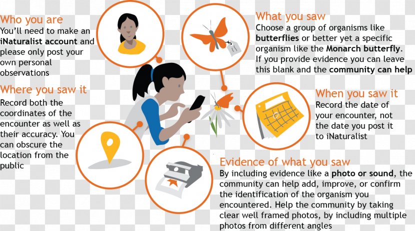 Observation Citizen Science INaturalist Scientific Method - Frame - Observe Clipart Transparent PNG