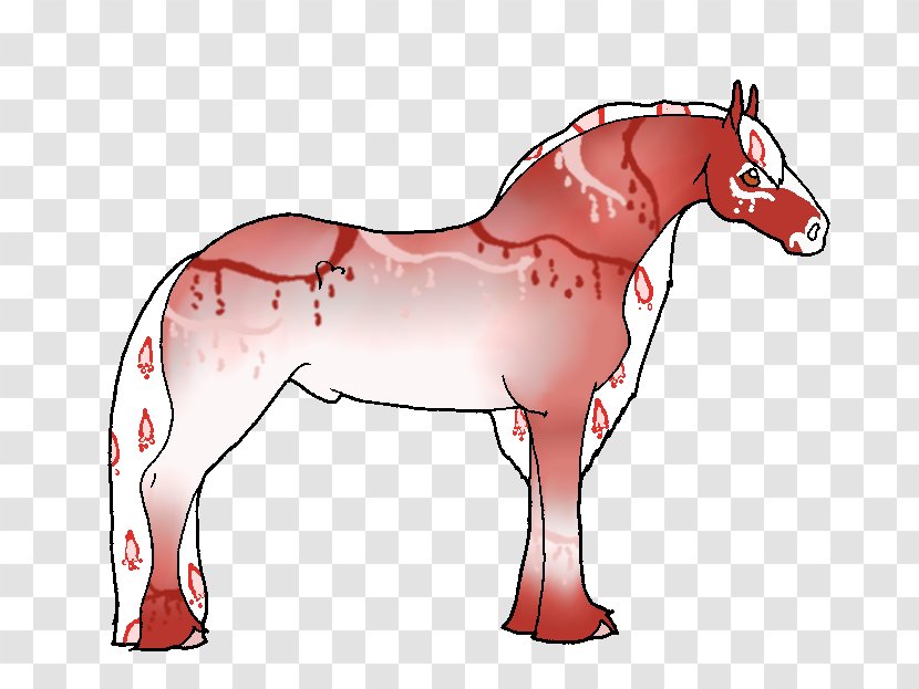 Mule Foal Stallion Pony Mare - Mustang Transparent PNG