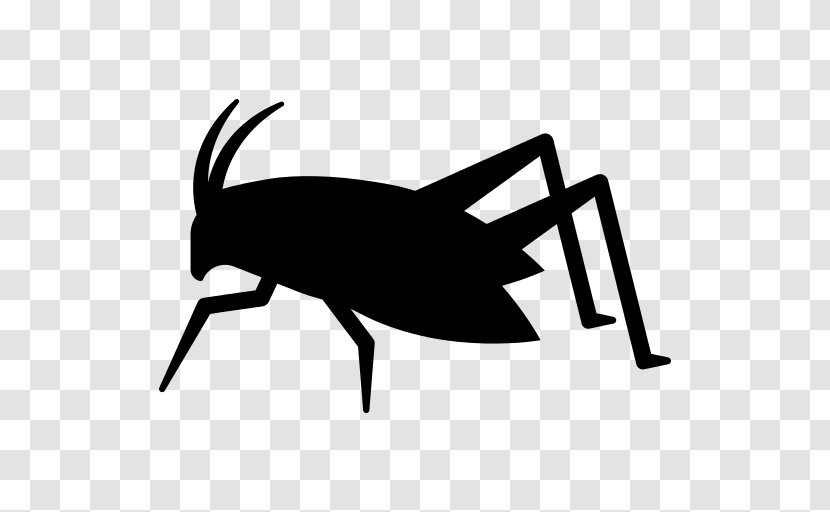 Grasshopper Insect - Blackandwhite - Pest Logo Transparent PNG