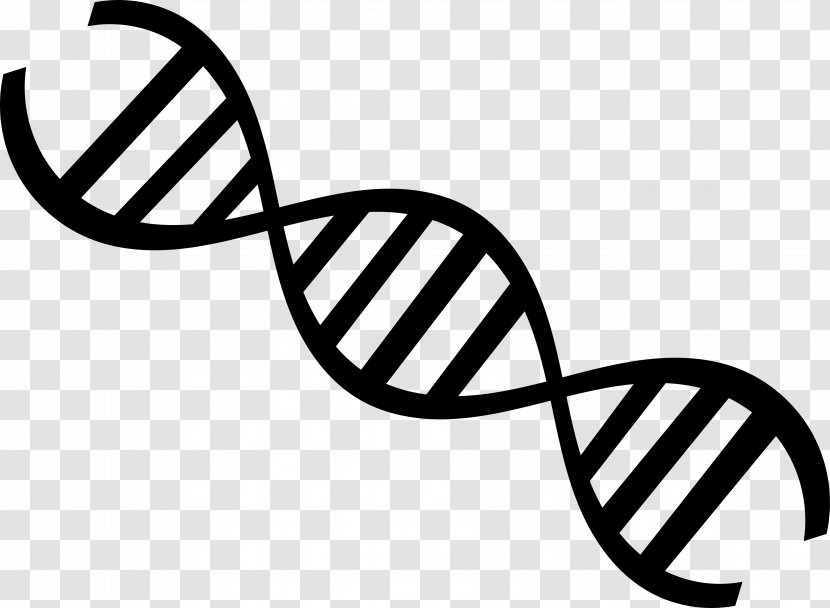 DNA Nucleic Acid Double Helix Genetics Clip Art - Wing - Biology Transparent PNG
