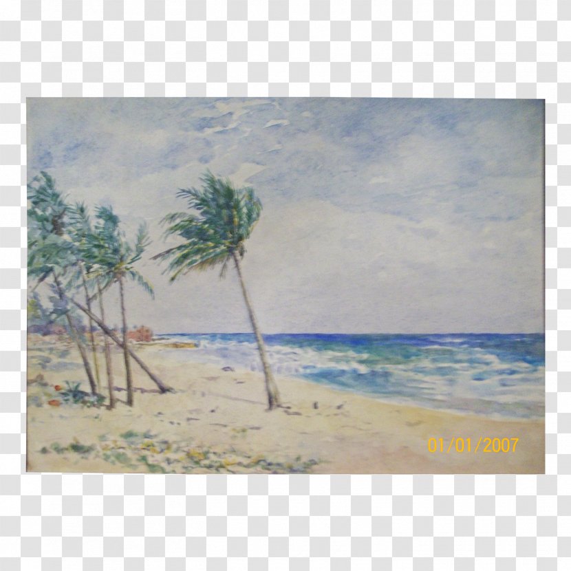 Caribbean Sea Watercolor Painting Beach Transparent PNG