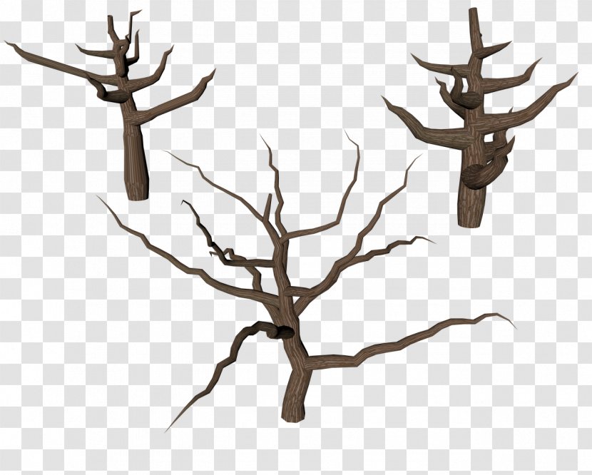 Tree Branch Trunk - Antler Transparent PNG