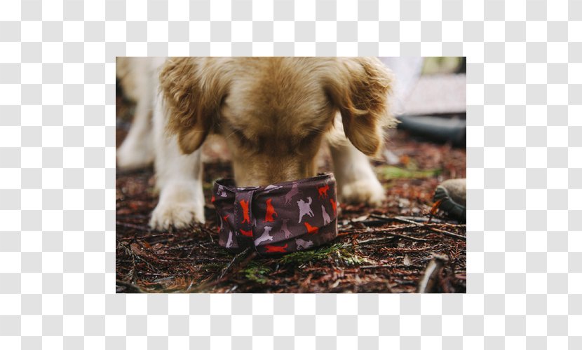 Golden Retriever Dog Breed Puppy Labrador Companion - Snout Transparent PNG