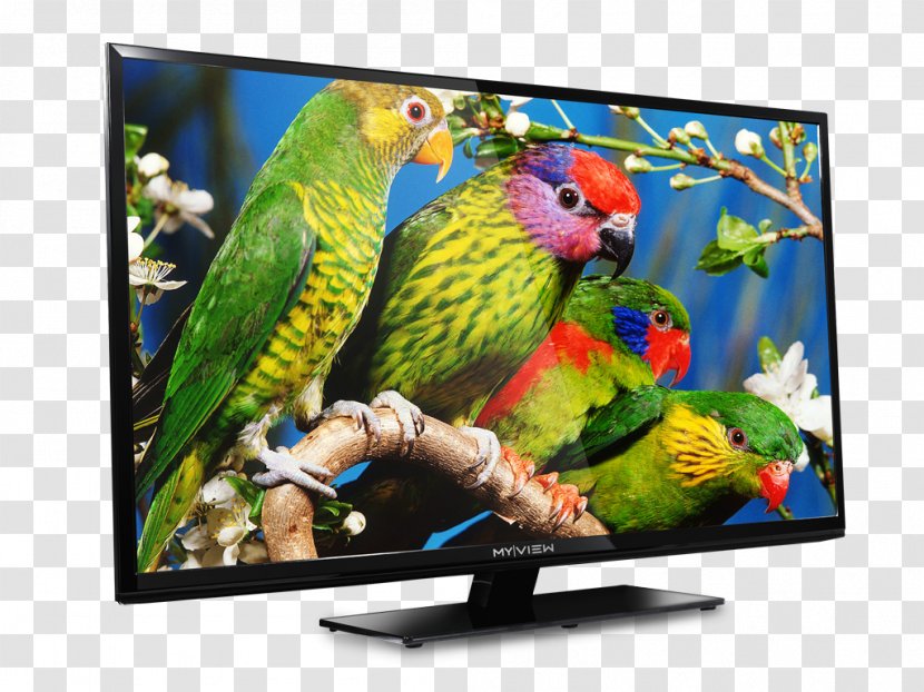 LED-backlit LCD Television Set Desktop Wallpaper - Computer - Home Appliance Transparent PNG