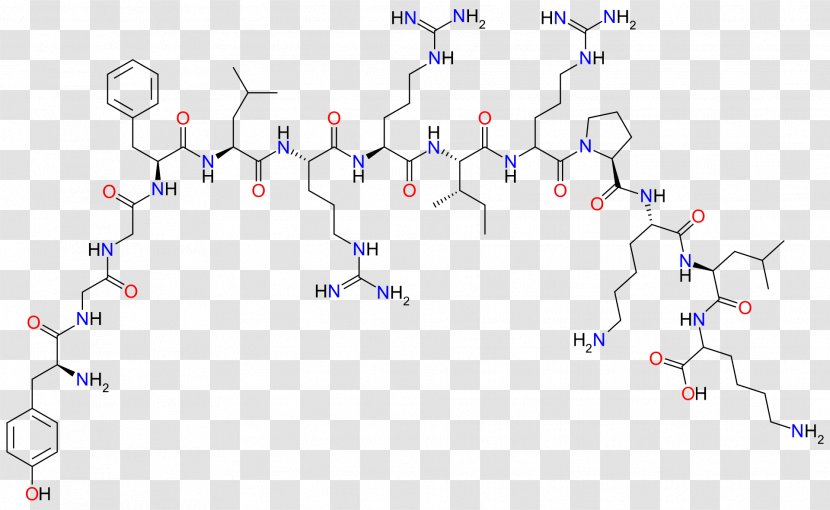 Dynorphin Endorphins Enkephalin Opioid Peptide Beta-Endorphin - Blue - C Luo Transparent PNG