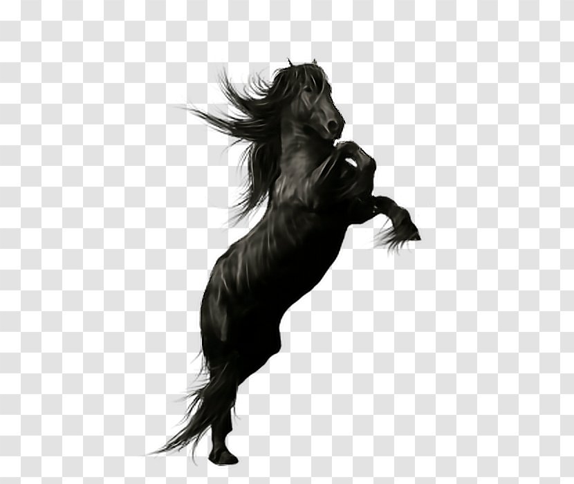 Friesian Horse Stallion Andalusian Peruvian Paso Black - Mythical Creature Transparent PNG