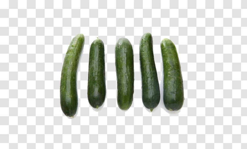 Cucumber Spreewald Gherkins Vegetable Autumn - Organic Transparent PNG