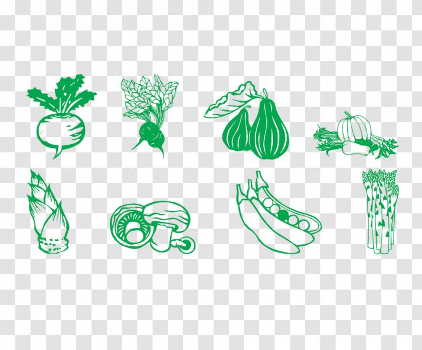 Vegetable Illustration - Auglis - Icon Transparent PNG