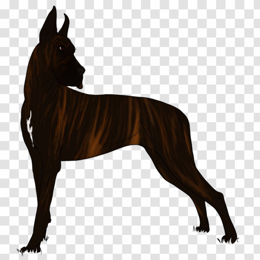 Dog Breed Snout Transparent PNG