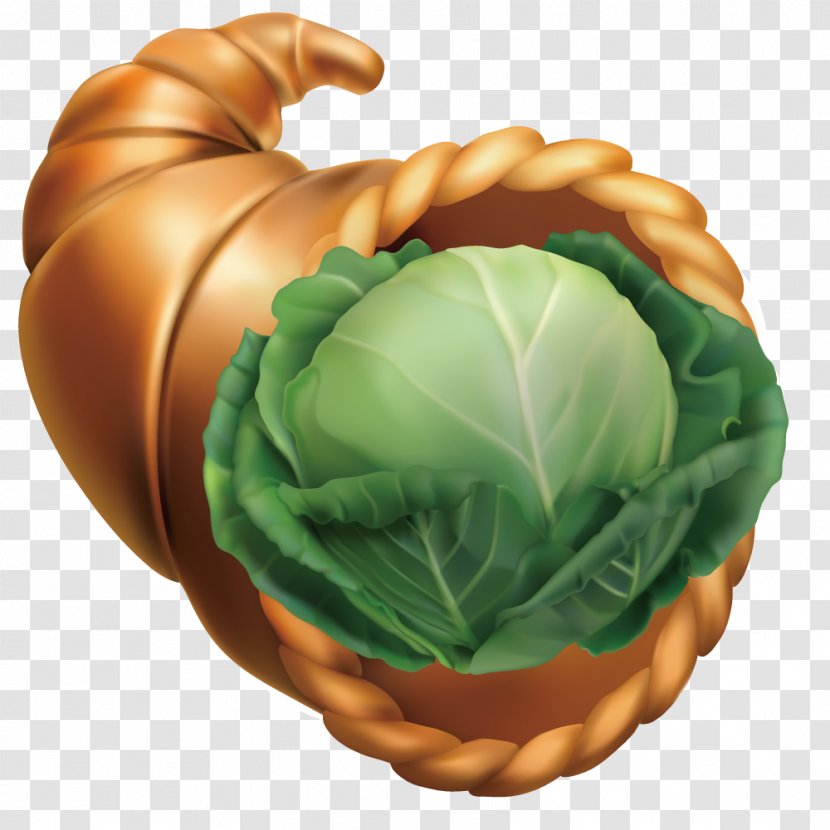 Cornucopia Fruit Harvest Illustration - Vector Cabbage Group Transparent PNG