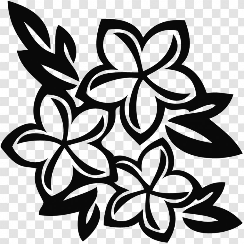 Drawing Floral Design Flower Clip Art - Black And White - Plumeria Transparent PNG
