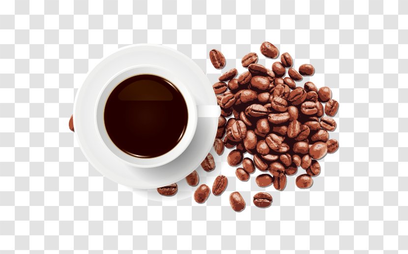 Coffee Bean Cafe Roasting - Kona - Vector Cup Transparent PNG