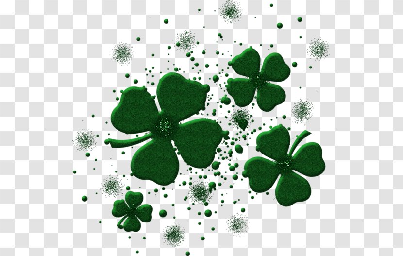Ireland Irish Whiskey Saint Patricks Day T-shirt Shamrock - Frame - Green Clover Transparent PNG