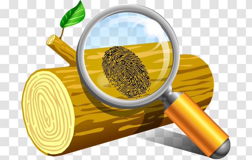 Event Viewer Computer Software Logfile Download - Superfood - Tree Fingerprint Transparent PNG