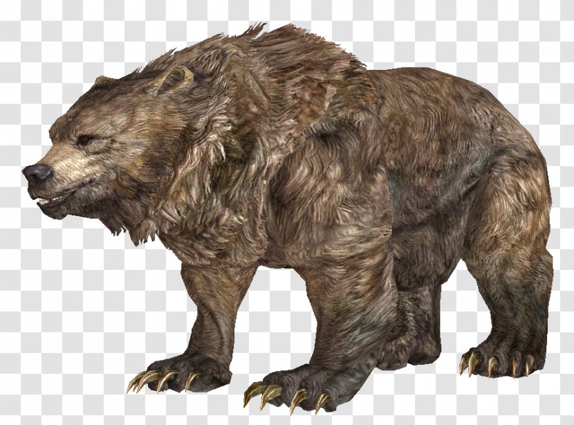 Grizzly Bear The Elder Scrolls V: Skyrim Cave Polar American Black - Organism Transparent PNG