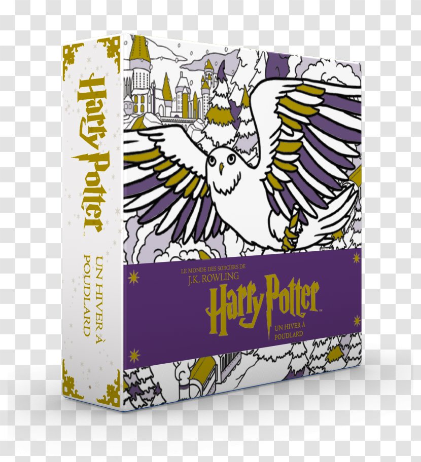 Harry Potter, Un Hiver à Poudlard Hogwarts Huginn & Muninn Hewlett-Packard - Winter - Potter Transparent PNG