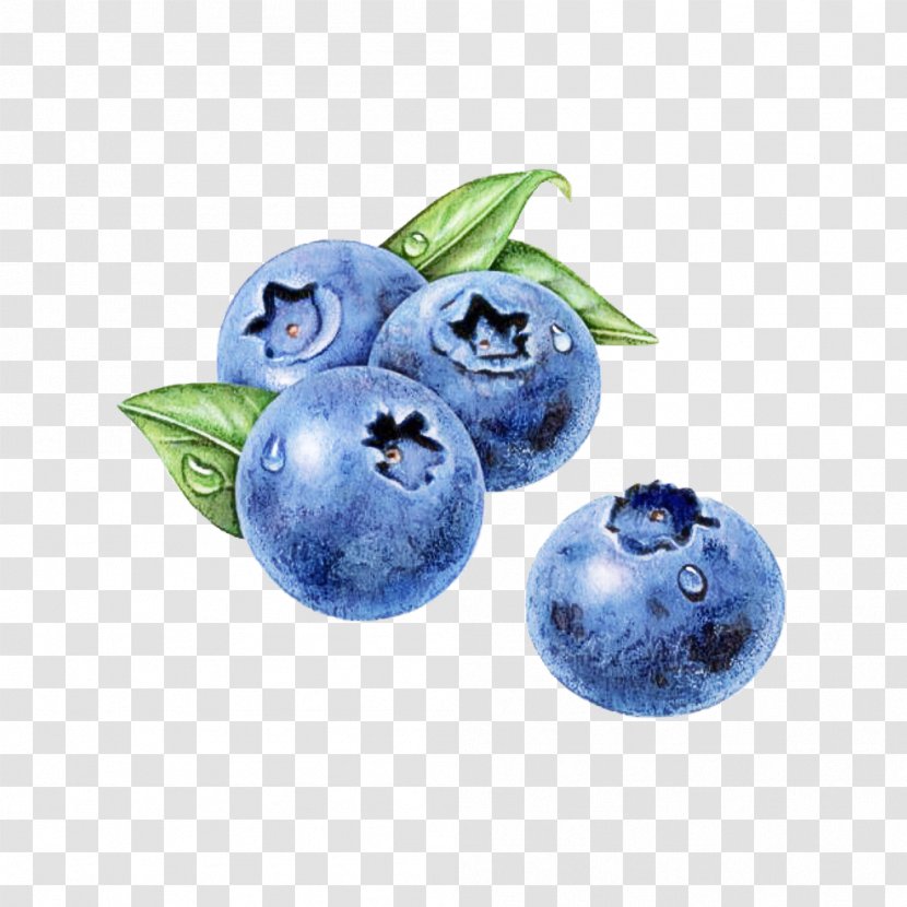 Berry Blueberry Blue Bilberry Fruit - Plant - Sphere Food Transparent PNG