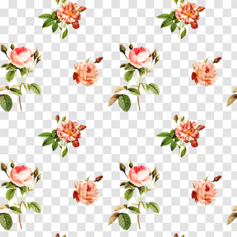 Pink Flowers Background - Pedicel - Wildflower Transparent PNG