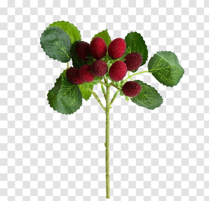 Strawberry Simulation Red Raspberry Plant Fruit Tree - High Imitation Branches Transparent PNG