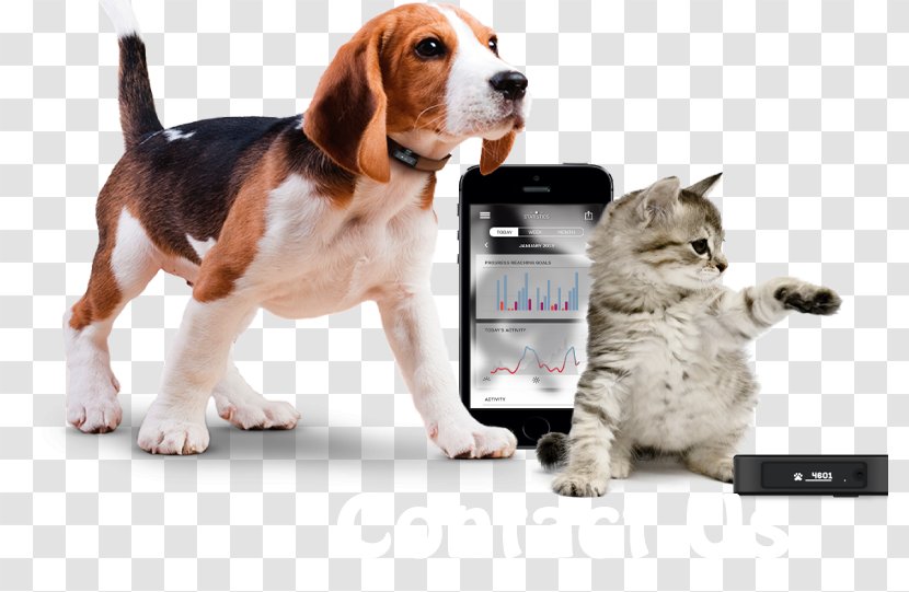 GPS Navigation Systems Dog Tracking Unit Global Positioning System Cat - Kitten Transparent PNG