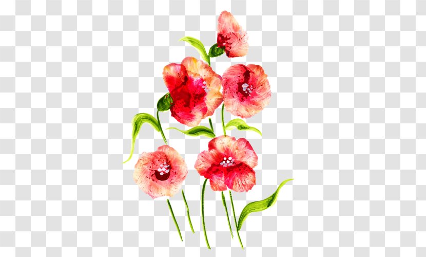 Singapore National Day - Flowering Plant - Bouquet Wildflower Transparent PNG