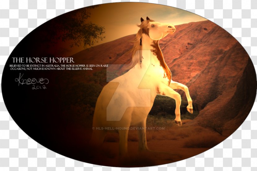 Horse Desktop Wallpaper Stock Photography Computer - Hound Transparent PNG