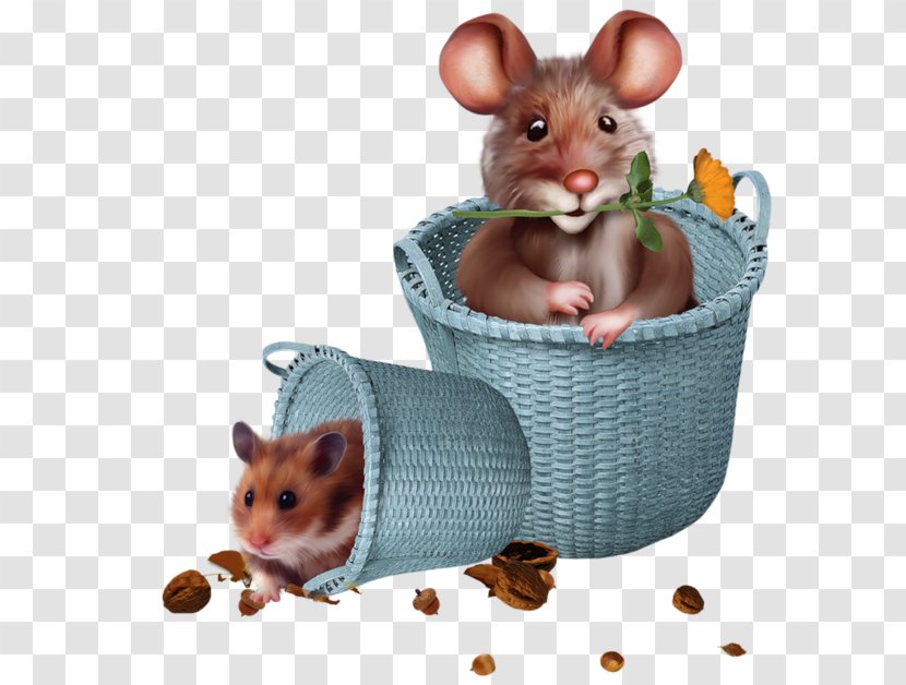 Morning Saying Greeting Day Love - Rodent - Mouse Transparent PNG