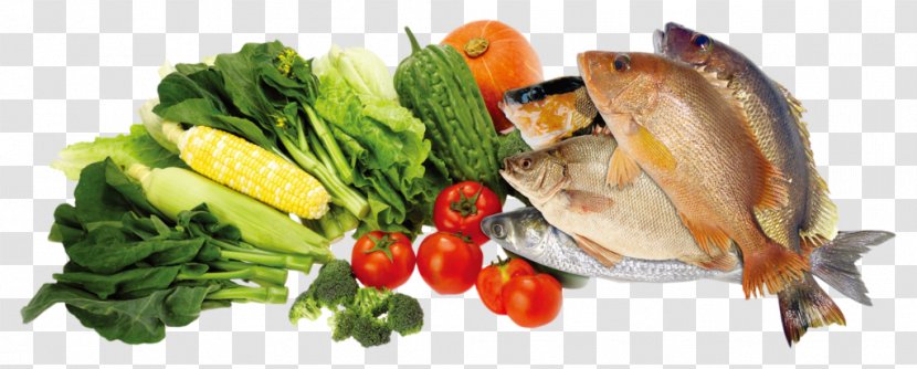 Dietary Fiber Eating Food Nutrition - Staple - Group Of Fish Transparent PNG