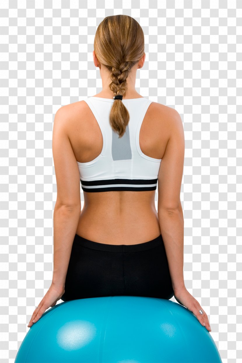 Shoulder Exercise Human Back Orthopaedics Hip - Tree - Numero 3 Transparent PNG