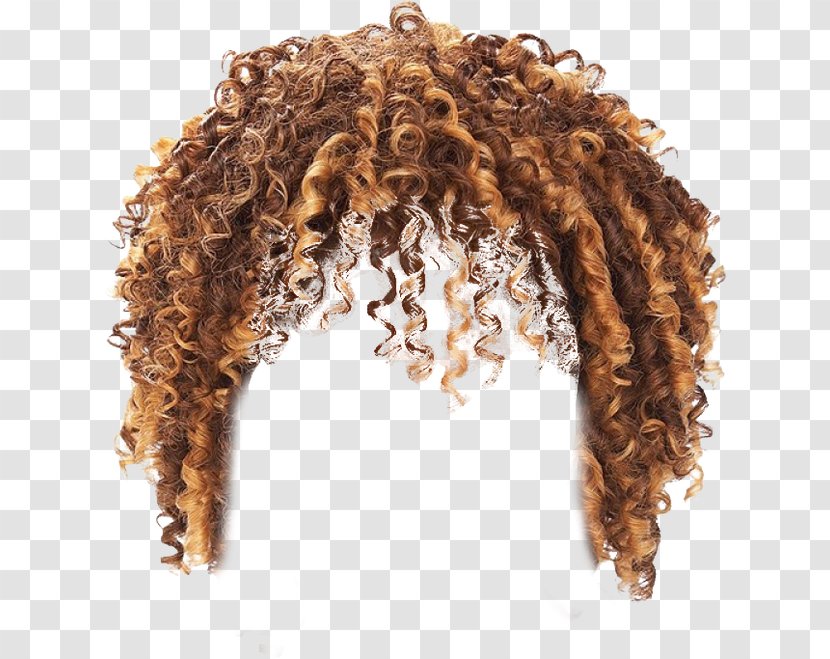 Lace Wig Artificial Hair Integrations Cap - Coloring - Curly Transparent PNG