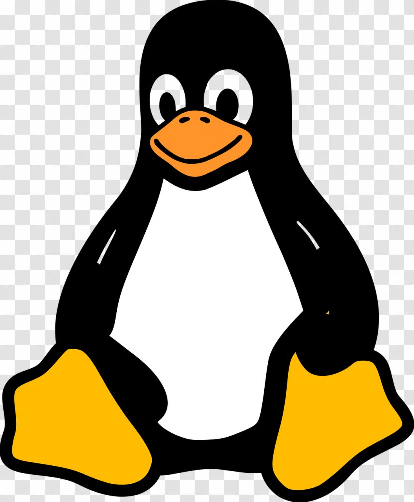 Tux Racer Penguin Linux Kernel - Bird - Penguins Transparent PNG